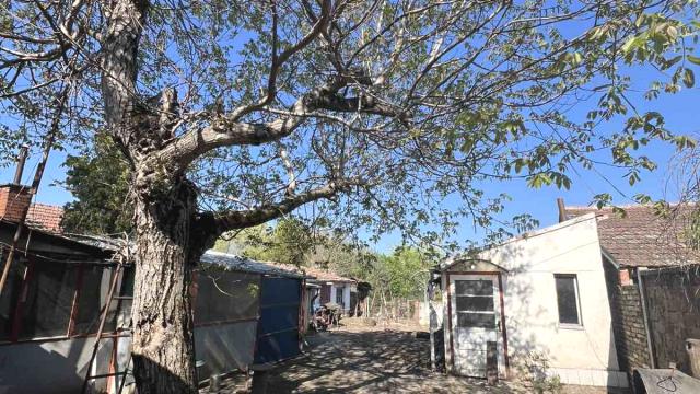 Kuća, četvorosoban, Prodaja, 94m2, Stevana Sremca