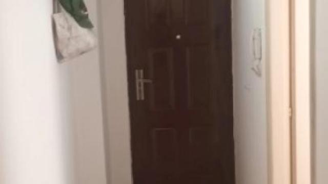 Stan, Dvosoban, Izdavanje, 30m2, Studentski trg, Stari grad, Braće Jugović