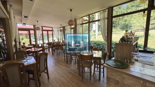 Poslovni prostor, Prodaja, 1000m2, Rtanj, Okolno mesto, Boljevac