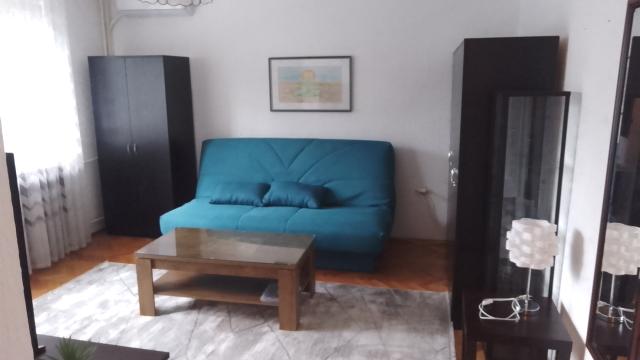 Stan, Jednoiposoban, Izdavanje, 42m2, Dedinje, Savski venac, Bulevar