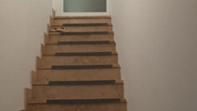 Stan, Trosoban, Prodaja, 111m2, Borča, Palilula, Branka Radičevića