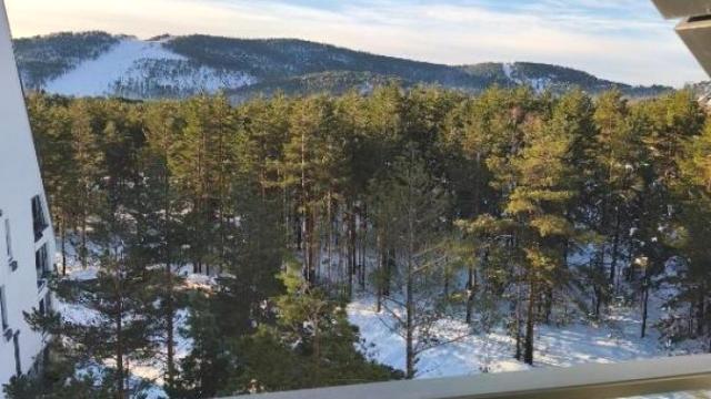 Stan, Dvosoban, Prodaja, 50m2, Divčibare, Okolno mesto, Ljubiše Miloševića