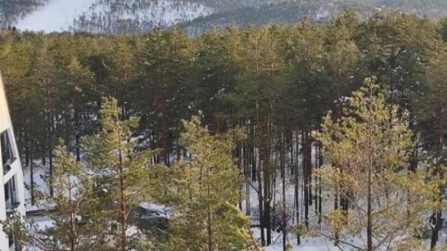 Stan, Dvosoban, Prodaja, 50m2, Divčibare, Okolno mesto, Ljubiše Miloševića