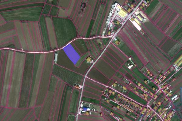 prodaja, plac,
ribare-opstina-jagodina, 523583, plac