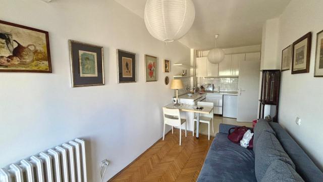Stan, Dvosoban, Izdavanje, 35m2, Hram svetog Save, Vračar, Krušedolska