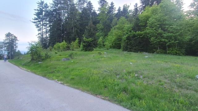 Plac, Prodaja, m2, Zlatibor