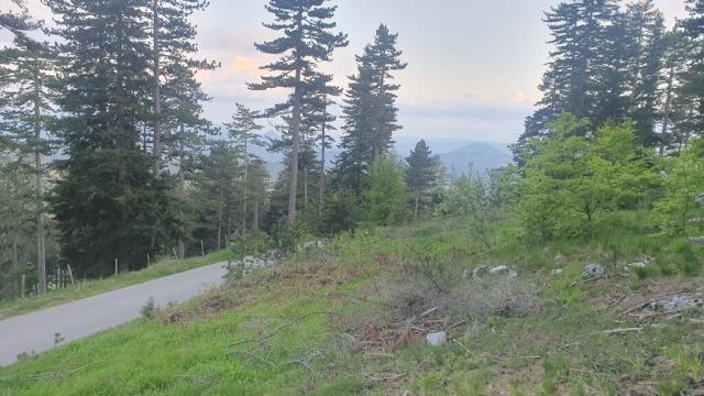 Plac, Prodaja, m2, Zlatibor