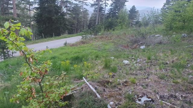 Plac, Prodaja, m2, Zlatibor