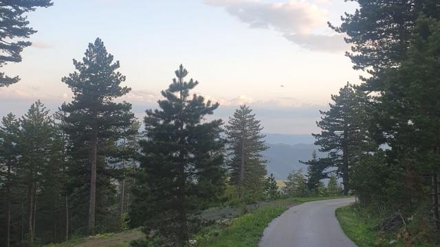 Plac, Prodaja, m2, Zlatibor