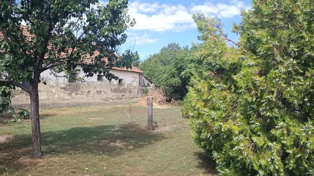 Kuća, Dvosoban, Prodaja, 87m2, Banatsko Arandjelovo, Okolno mesto, Banatsko Arandjelovo