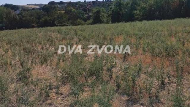 Plac, Prodaja, m2, Čortanovci, Okolno mesto, Indjija
