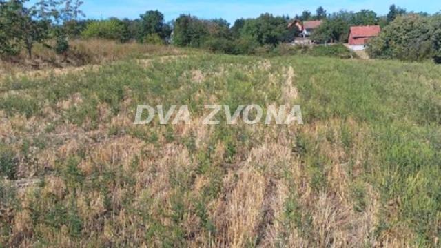 Plac, Prodaja, m2, Čortanovci, Okolno mesto, Indjija