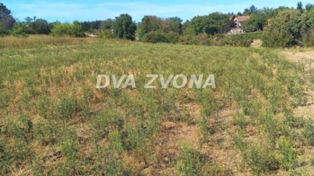 Plac, Prodaja, m2, Čortanovci, Okolno mesto, Indjija