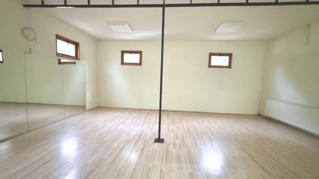 Poslovni prostor, Petosoban i veći, Izdavanje, 150m2, Bulevar JNA