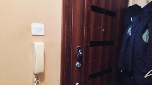 Stan, Jednosoban, Prodaja, 28m2, Dorćol, Stari grad, Mike Alasa