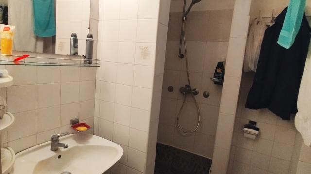 Stan, Jednosoban, Prodaja, 28m2, Dorćol, Stari grad, Mike Alasa