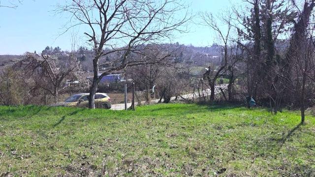 Plac, Prodaja, m2, Alibegovac, Petrovaradin, Jovana Vujica