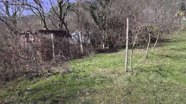 Plac, Prodaja, m2, Alibegovac, Petrovaradin, Jovana Vujica