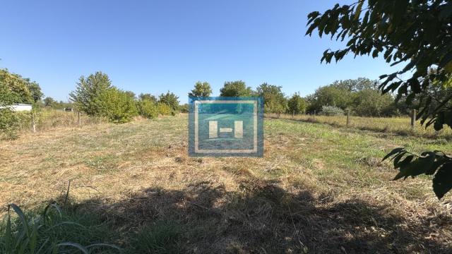 Kuća, Prodaja, 220m2, Moravski Bujmir, Okolno mesto, Aleksinac