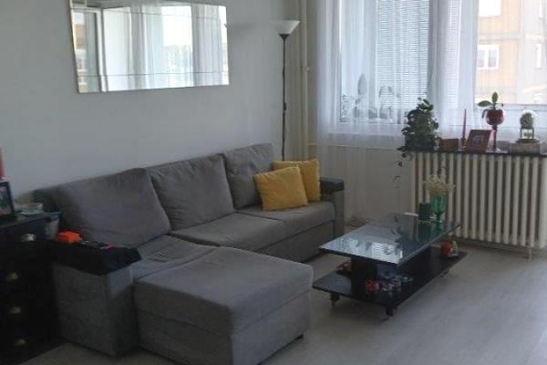 izdavanje, stanova,
stari-merkator-novi-beograd-beograd, 1133930, jednoiposoban-bulevar-mihajla-pupina
