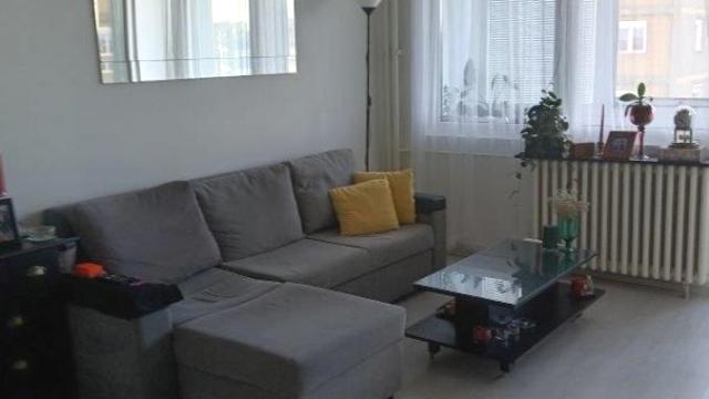 Stan, Jednoiposoban, Izdavanje, 41m2, Stari Merkator, Novi Beograd, Bulevar Mihajla Pupina