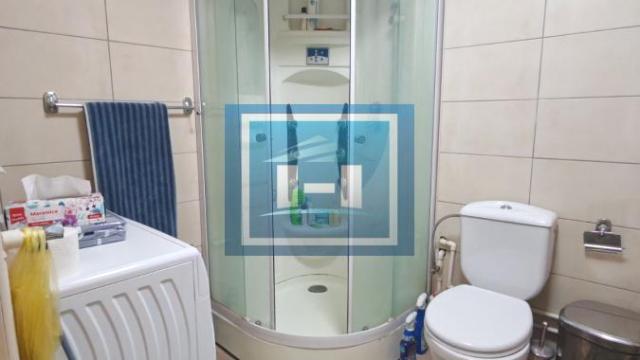 Stan, Dvoiposoban, Izdavanje, 57m2, Branko Krsmanović, Gradska lokacija, Paraćin