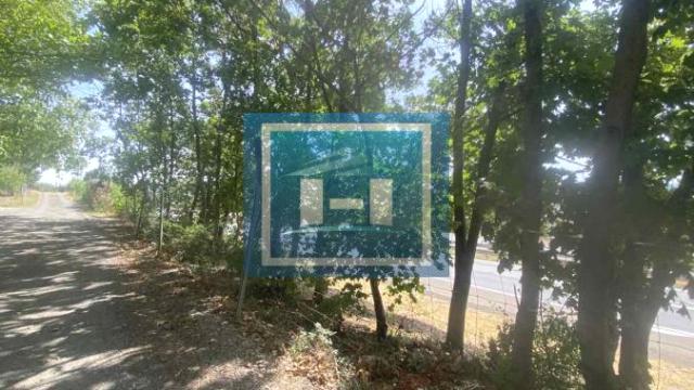 Kuća, četvorosoban, Prodaja, 228m2, Karadjordjevo brdo, Gradska lokacija, Paraćin