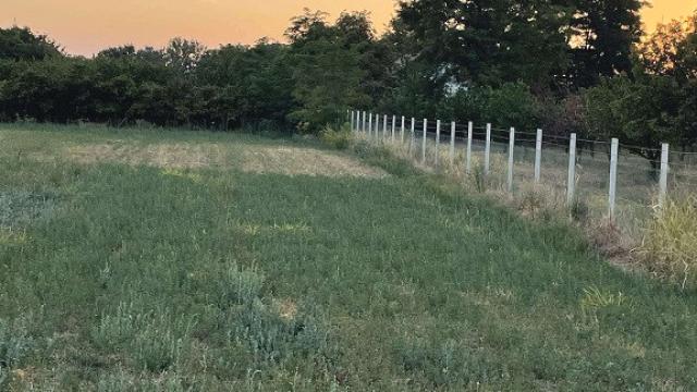 Plac, Prodaja, m2, 2 Nova 19