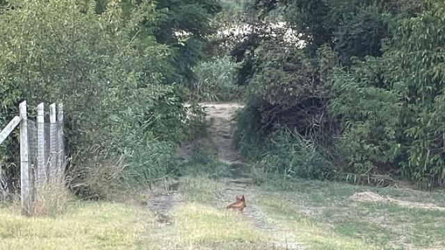 Plac, Prodaja, m2, 2 Nova 19