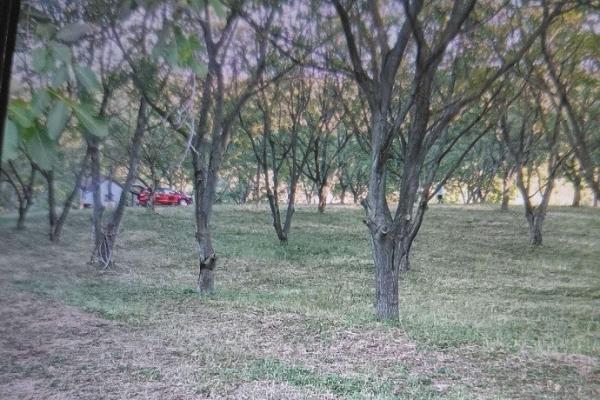 prodaja, plac,
bukovac-petrovaradin-novi-sad, 1134247, bukovac