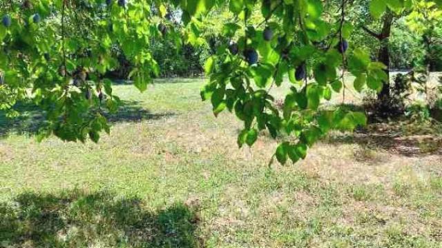 Plac, Prodaja, m2, Baćevac, Barajevo, Beograd