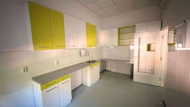 Poslovni prostor, Jednosoban, Izdavanje, 150m2, Rotkvarija, Novi Sad, Zmaj Ognjena Vuka