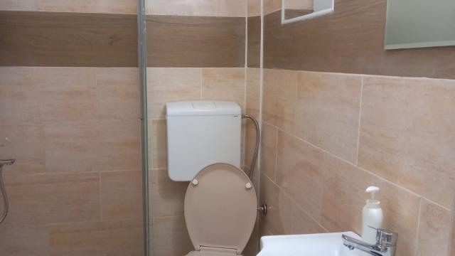 Kuća, Jednosoban, Izdavanje, 25m2, Zemun, Visočka 19