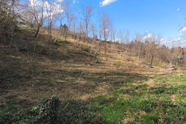 prodaja, plac,
beocin, 1135628, dumbovo