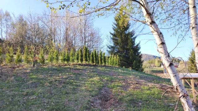 Plac, Prodaja, m2, Konjska Reka, Okolno mesto, Brezovice