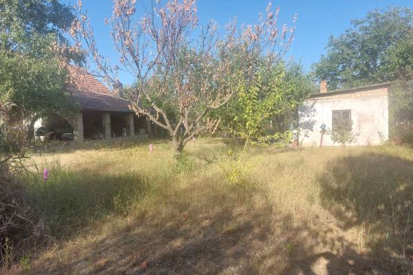 prodaja, plac,
cortanovci-opstina-indjija, 1136686, banstol