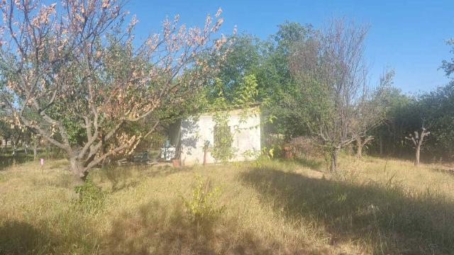 Plac, Prodaja, m2, Čortanovci, Okolno mesto, Banstol