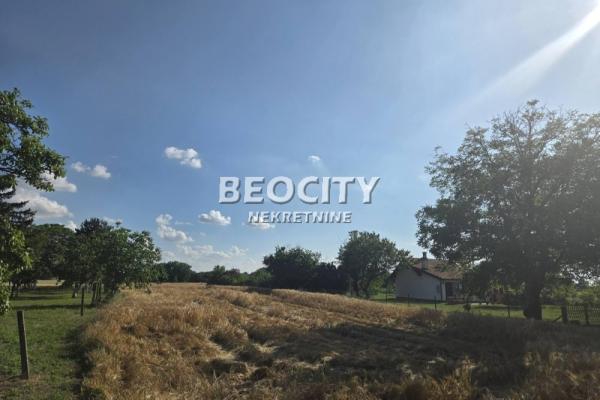 prodaja, plac,
boljevci-surcin-beograd, 1137593, bisenije-simic