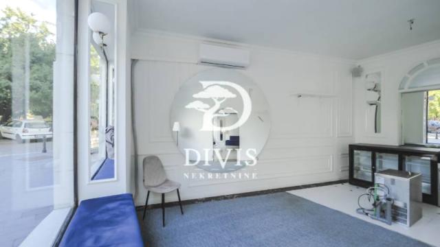 Poslovni prostor, Jednosoban, Izdavanje, 230m2, Andrićev venac