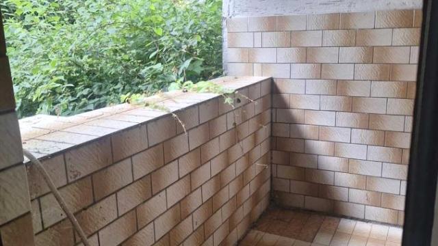 Stan, Jednosoban, Prodaja, 30m2, Lion, Zvezdara, Gvozdićeva