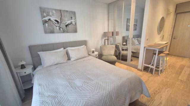 Stan, Jednosoban, Izdavanje, 30m2, Bulevar Vudroa Vilsona
