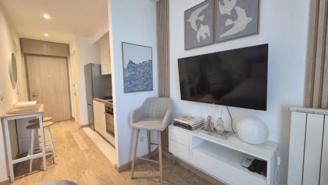 Stan, Jednosoban, Izdavanje, 30m2, Bulevar Vudroa Vilsona