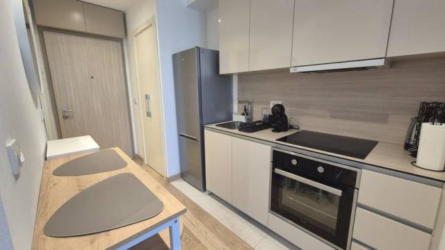 Stan, Jednosoban, Izdavanje, 30m2, Bulevar Vudroa Vilsona