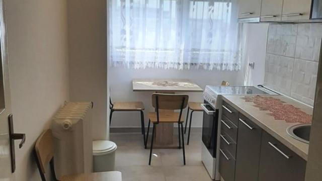 Stan, Dvosoban, Izdavanje, 45m2, Blok 21, Novi Beograd, Bulevar Mihajla Pupina