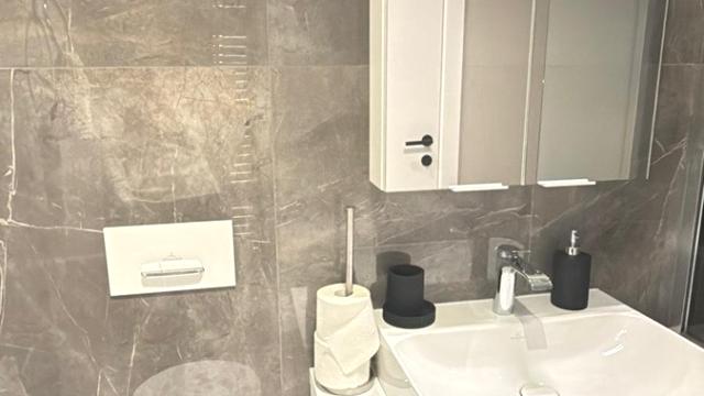 Stan, Dvosoban, Izdavanje, 55m2, Venizelosova