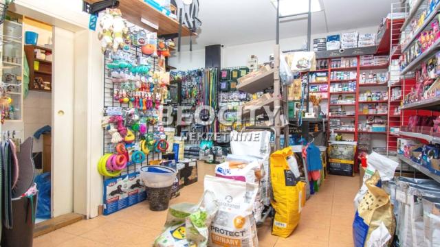 Poslovni prostor, Jednosoban, Izdavanje, 27m2, Slavija, Vračar, Katićeva