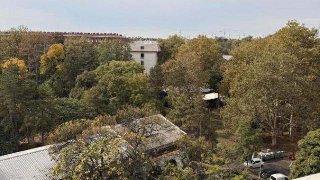 Stan, Dvoiposoban, Prodaja, 55m2, Blok 4 (Politehnička akademija), Novi Beograd, Bulevar Zorana Đinđića
