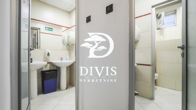 Poslovni prostor, Petosoban, Izdavanje, 216m2, Cara Dušana