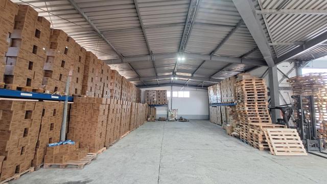 Poslovni prostor, Izdavanje, 500m2, Vrčin, Grocka, Danila Kazovića