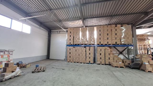 Poslovni prostor, Izdavanje, 500m2, Vrčin, Grocka, Danila Kazovića